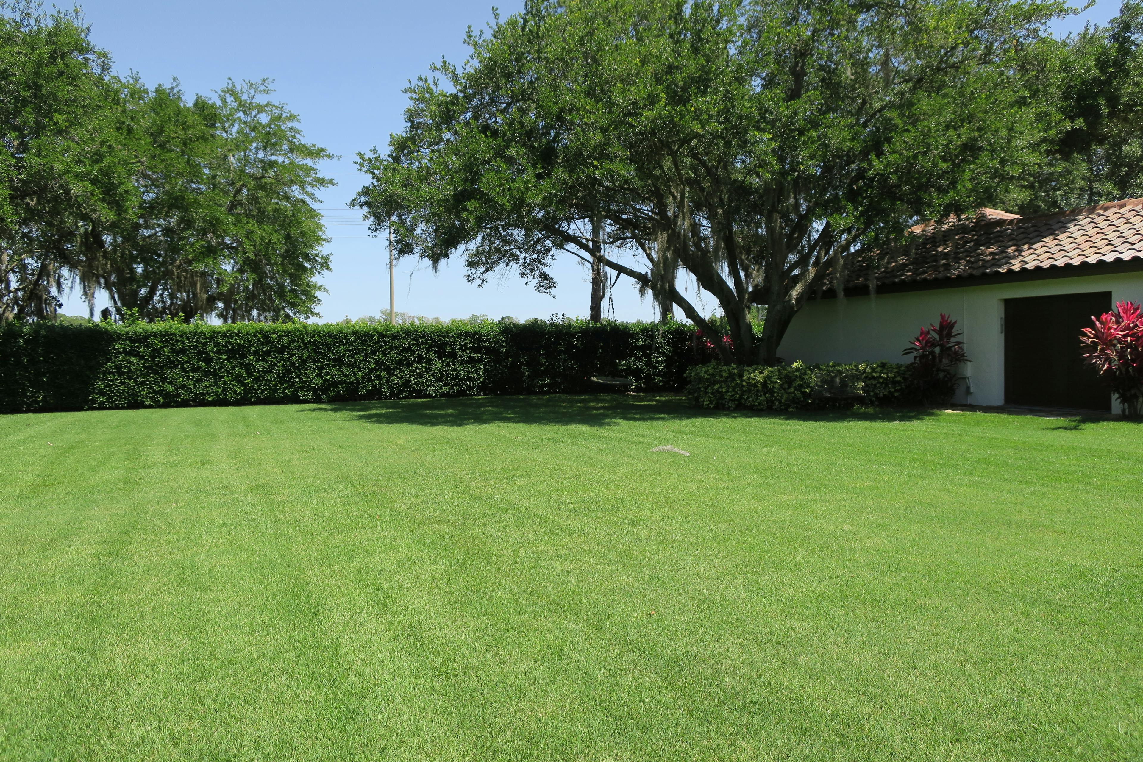 Fortify and Protect Your Lawn, Shrubs and Trees